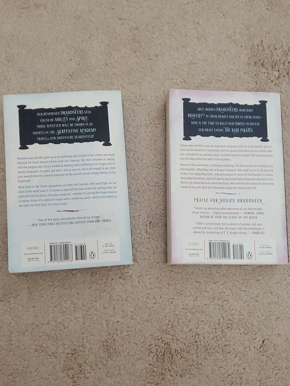 Dragoneer Academy Novels